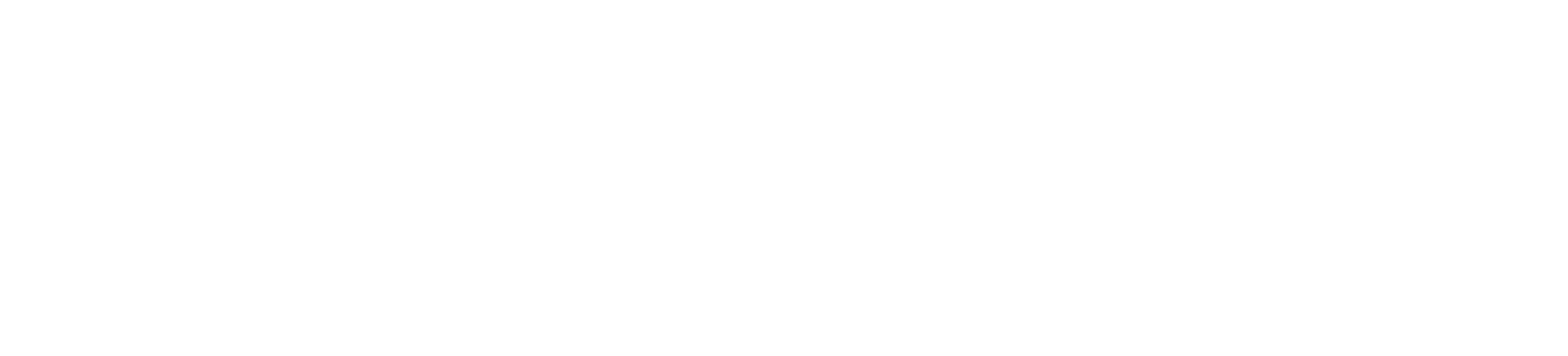 Logo BizMarketing Digital Partners, especialistas en Marketing B2B