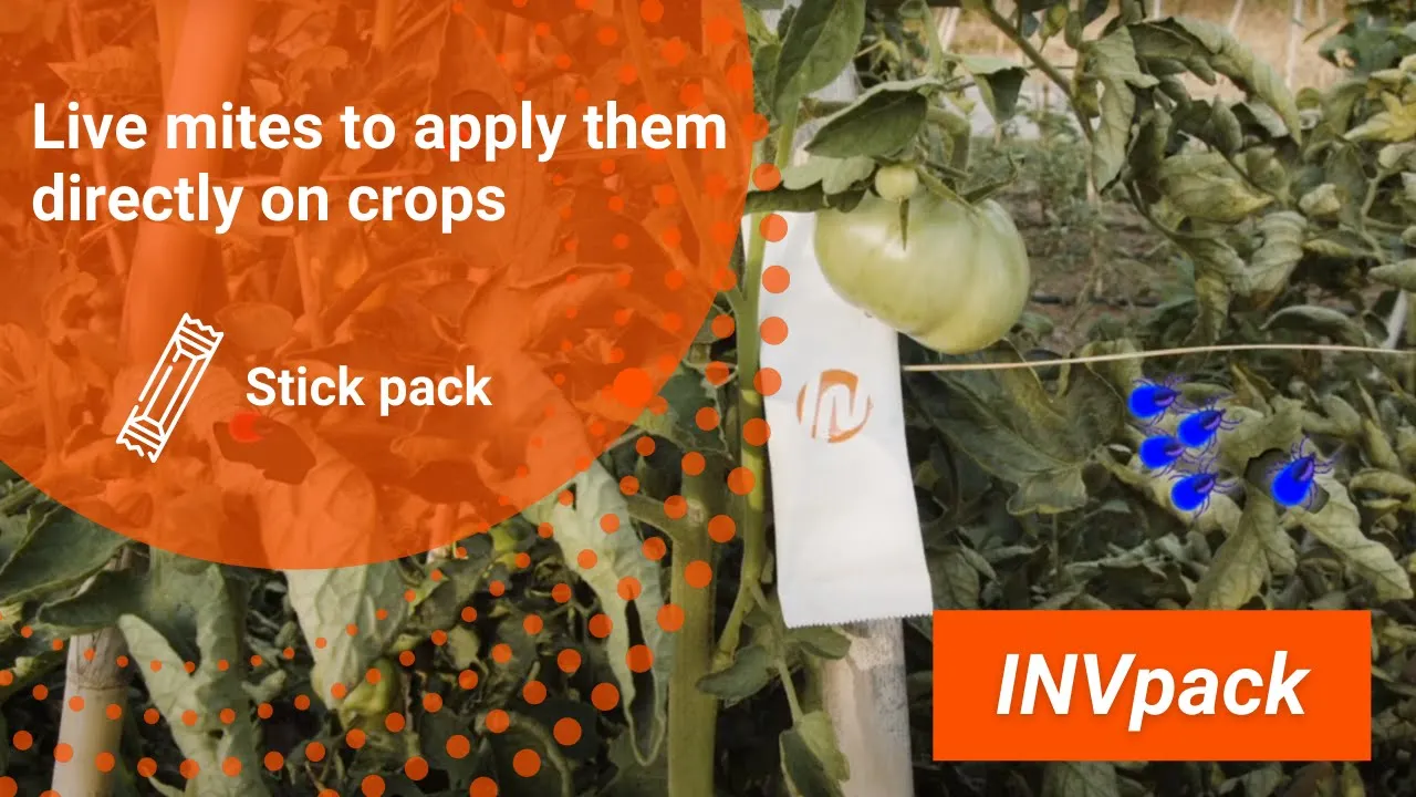 SP6 FOR STICK PACK  MITE PACKAGING | INVpack
